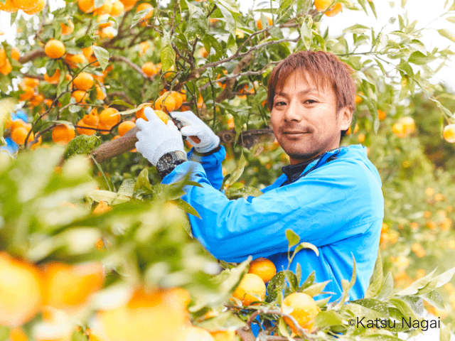 チームHINATA「岡本 和宜」の画像