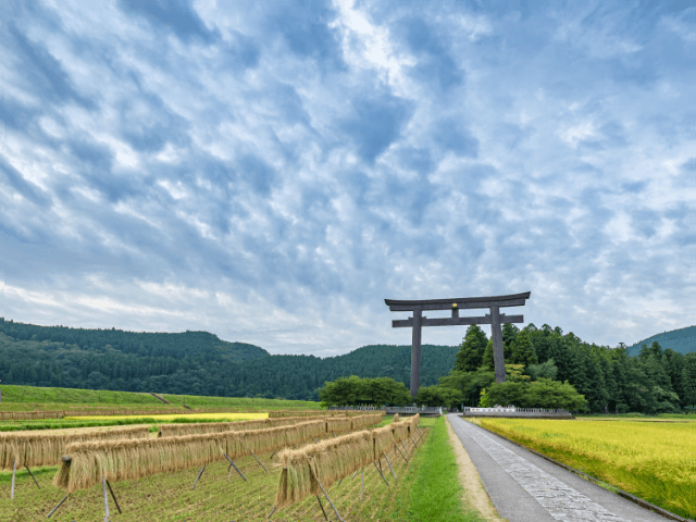 第1回【ワークショップ】のイベント画像