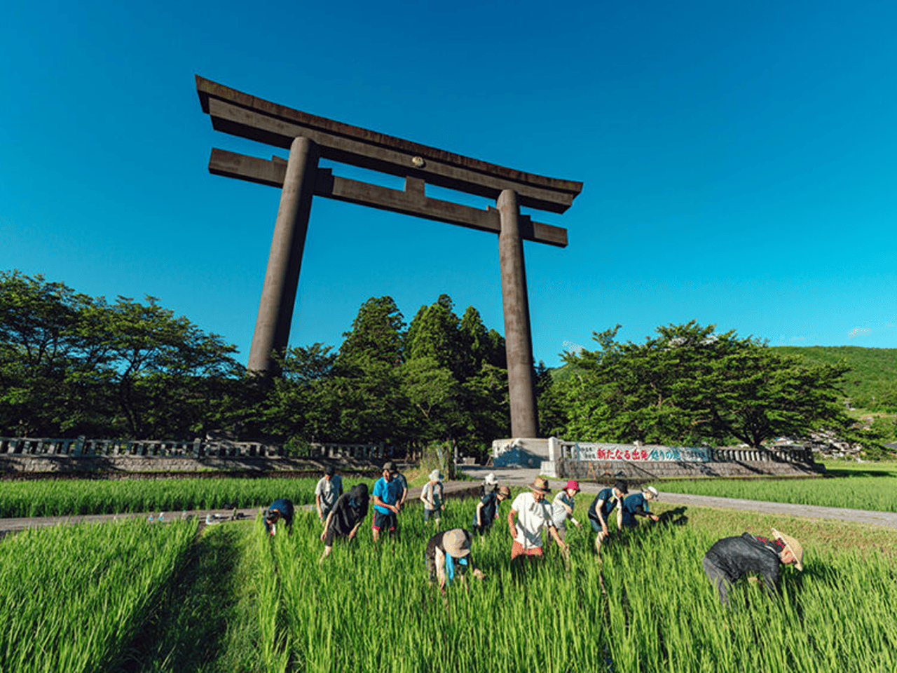 なぜ、彼らは熊野に戻ってくるのか？ YAMAPユーザー70名以上が関わり続ける「熊野REBORN」の正体
画像