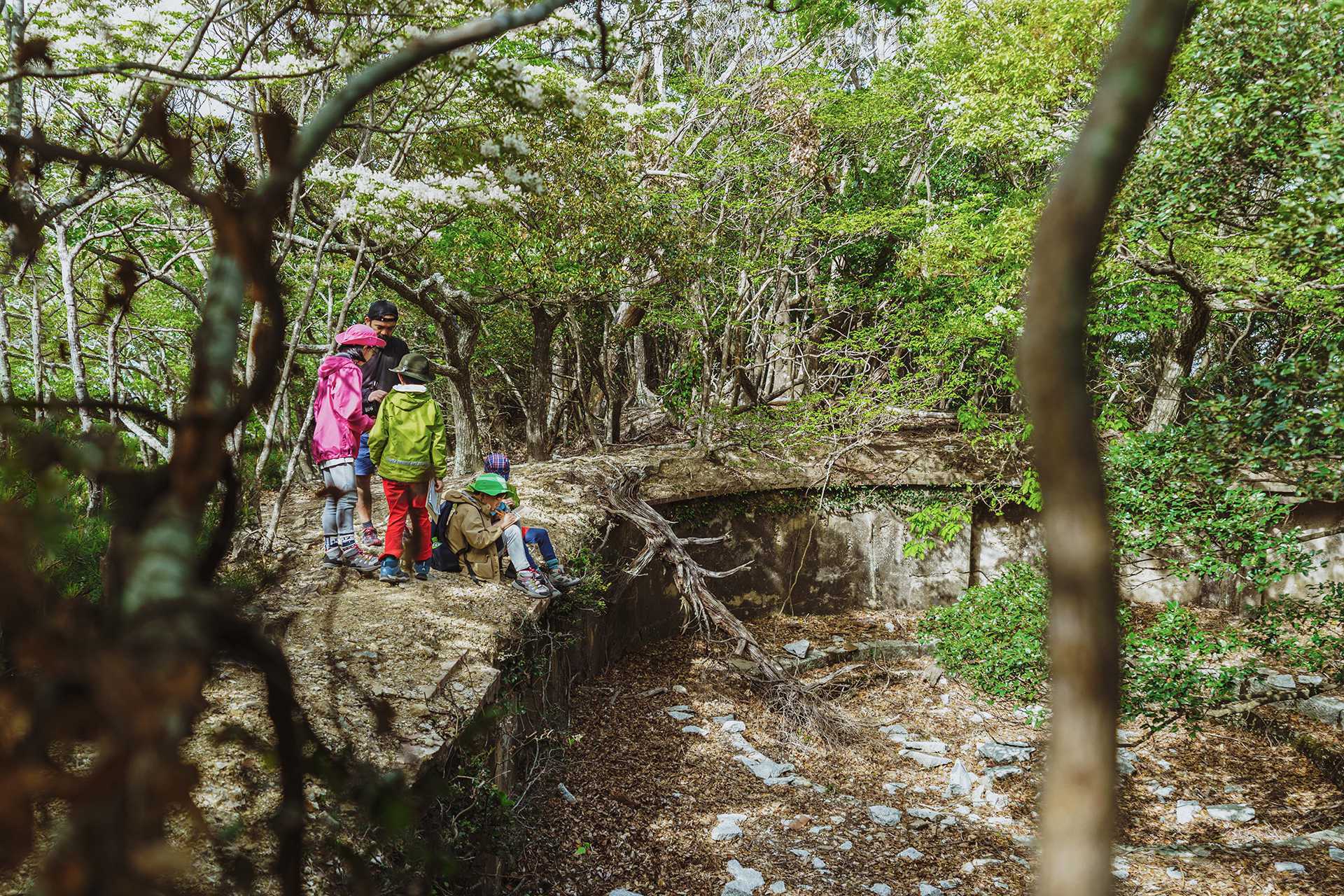 城山を探検する子どもたち