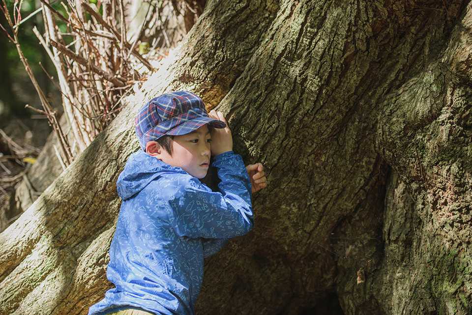 「龍良山」原生林のスダジイの音を聞く子ども