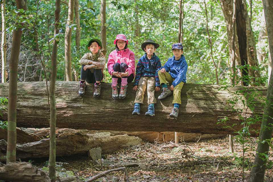 「龍良山」原生林を探検する親子