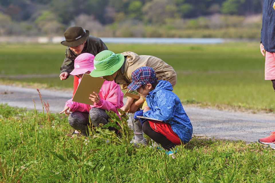 ツシマヤマネコ探索ツアーで痕跡を探す親子