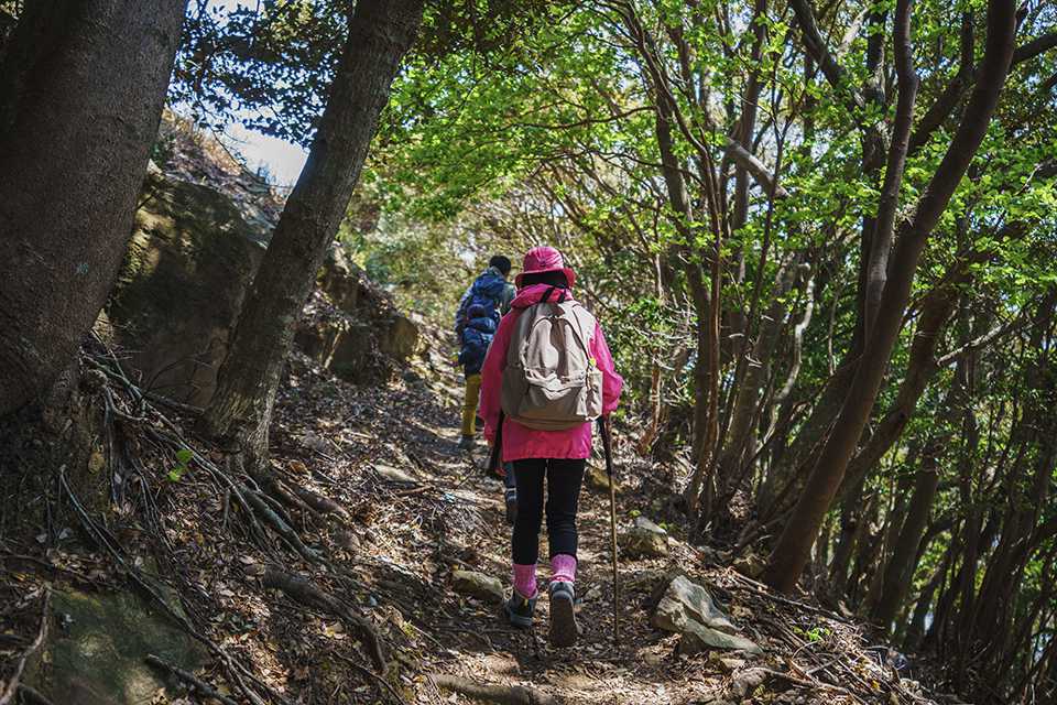 清水山を登る子どもたち