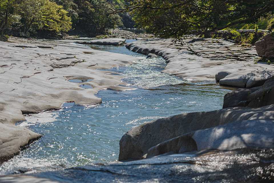 鮎もどし自然公園の川辺