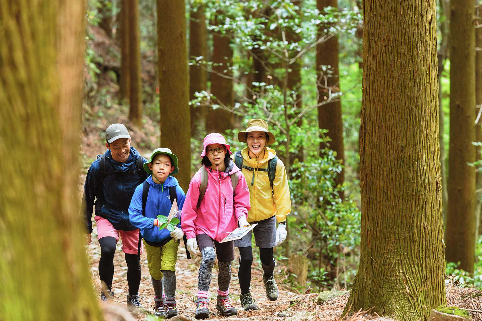 【春】新緑の森満喫プラン